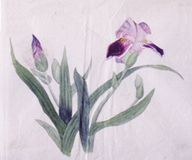 Painting of orchids