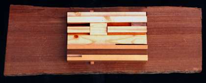 Conceptual model plan