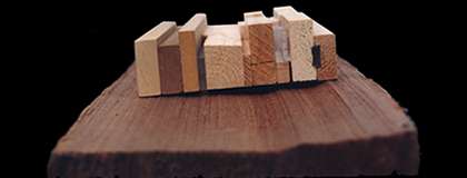 Conceptual model elevation